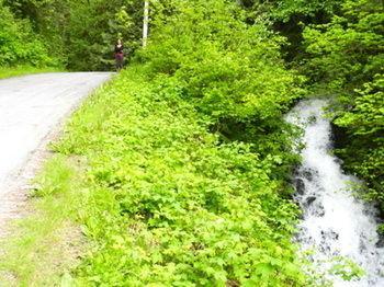 Forest Echoes Cabins Cultus Lake Εξωτερικό φωτογραφία