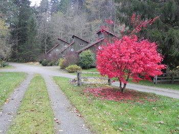 Forest Echoes Cabins Cultus Lake Εξωτερικό φωτογραφία